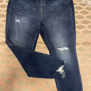 Lane Bryant Distressed Skinny Jean